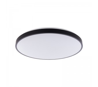 Vonios kambario šviestuvas AGNES ROUND BL 64W 4000K  IP44